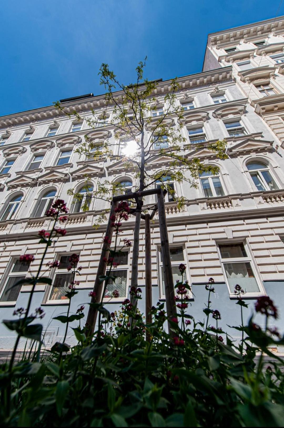 Vienna My City Apartment 1 Bedroom Екстериор снимка
