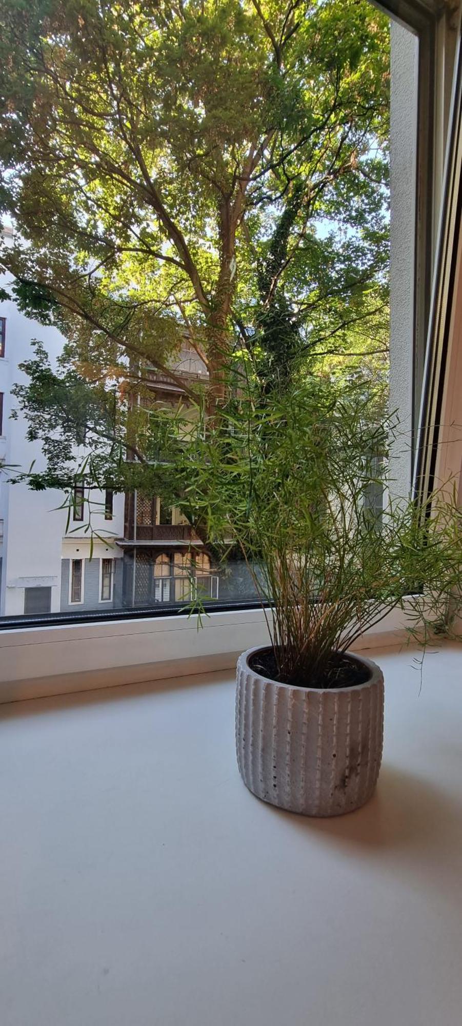 Vienna My City Apartment 1 Bedroom Екстериор снимка